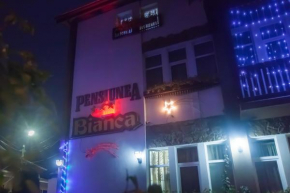 Отель Pensiunea Bianca  Ботошаны